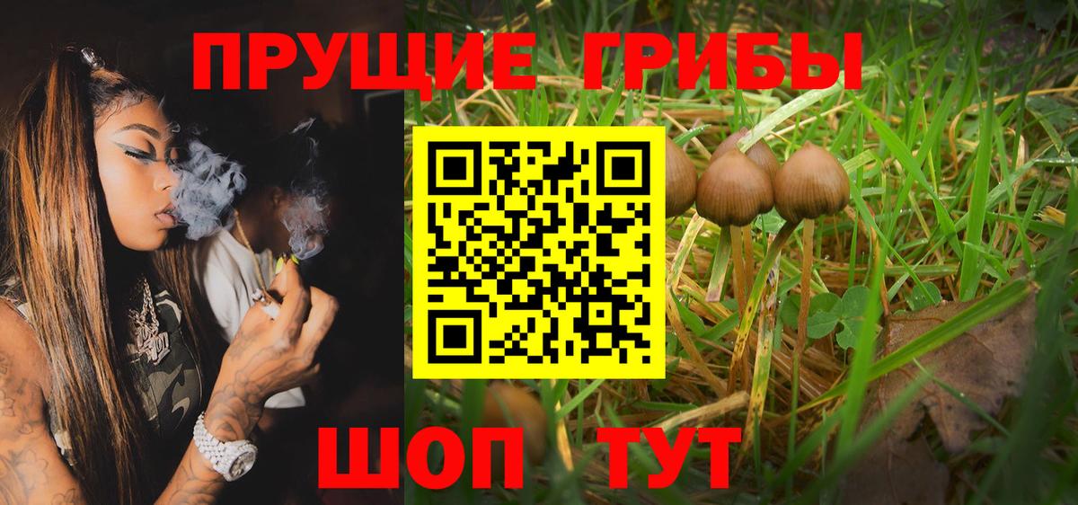 Псилоцибиновые грибы Magic Shrooms Алатырь