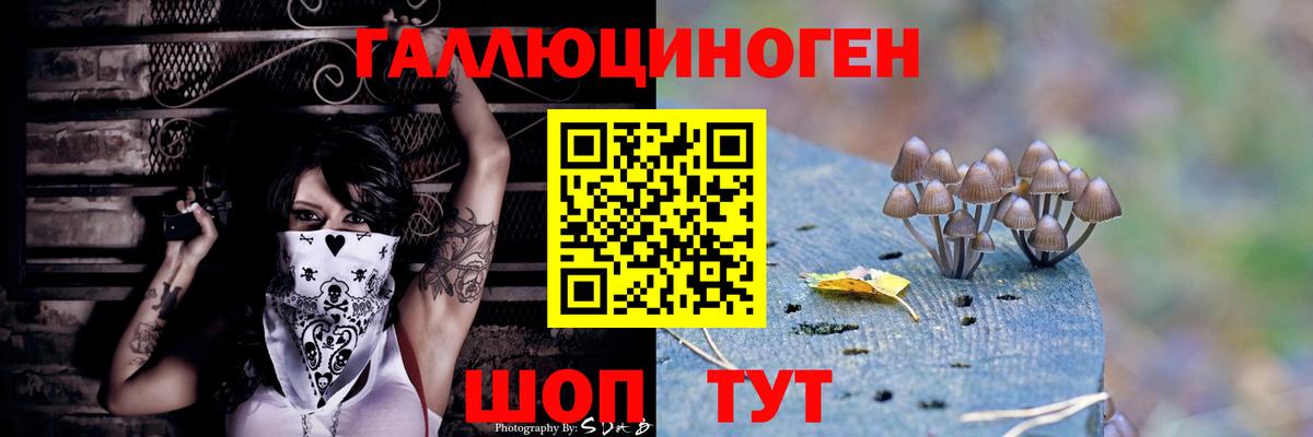 Алатырь  Псилоцибиновые грибы ЛСД  Вход с VPN 